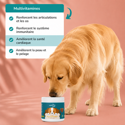 Complément Alimentaire Multivitaminé 8 en 1 pour Chiens – 120 Bouchées