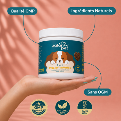 Complément Alimentaire Multivitaminé 8 en 1 pour Chiens – 120 Bouchées