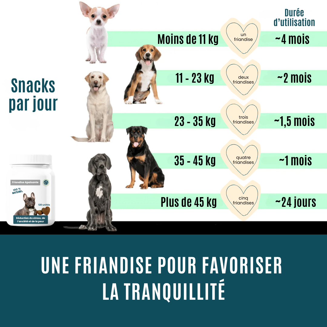 Friandise Apaisante