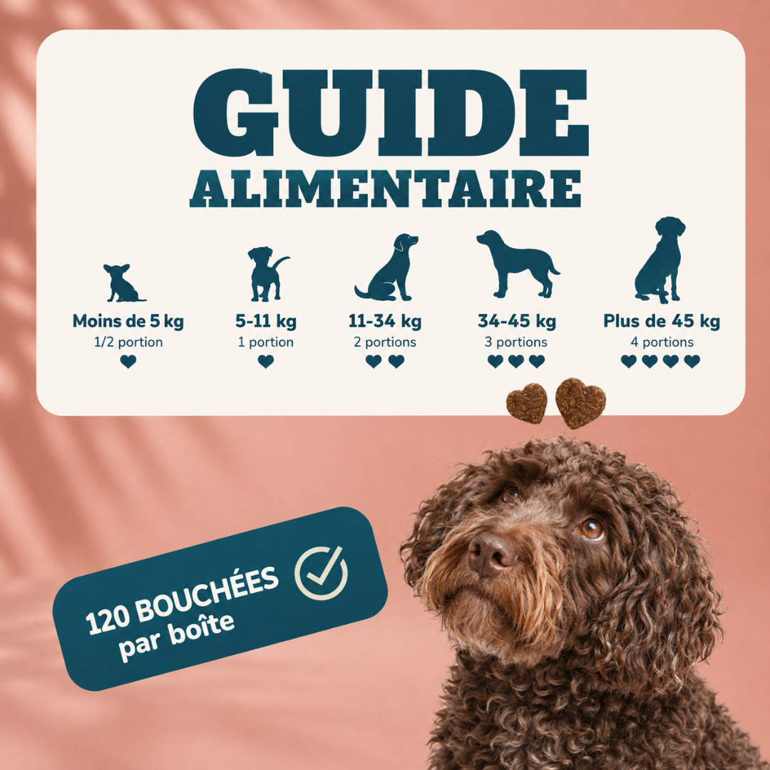 Complément Alimentaire Multivitaminé 8 en 1 pour Chiens – 120 Bouchées