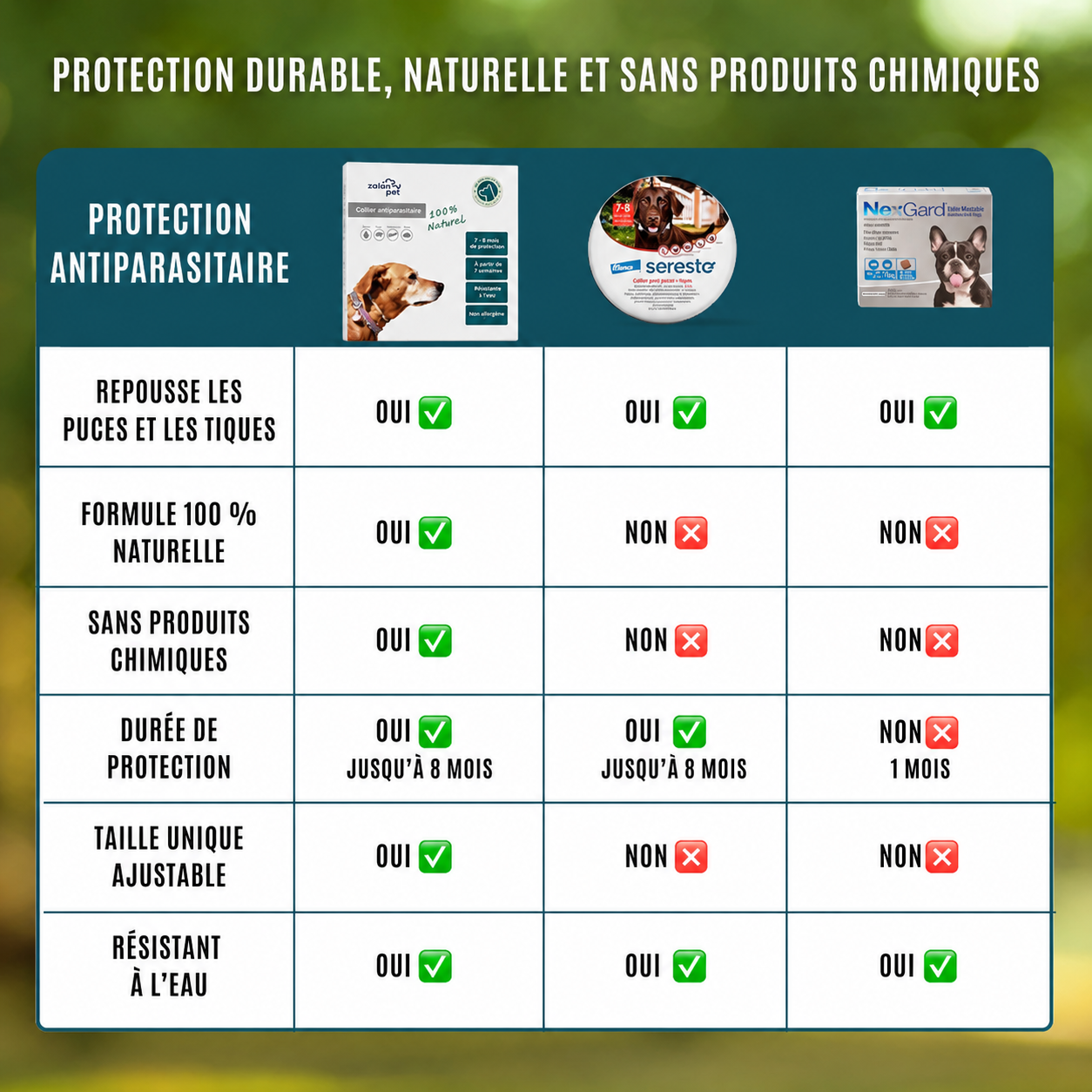Collier antiparasitaire 100 % naturel